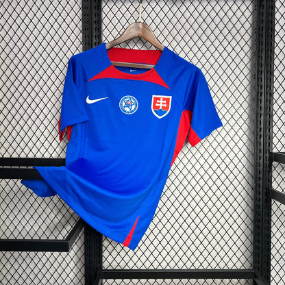 Georgia 24/25 "EURO 2024" Third Jersey