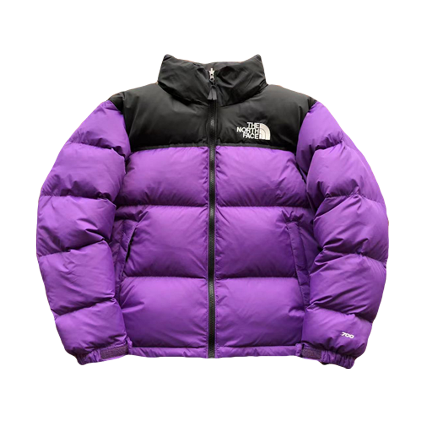 Purple 1996 Retro Nuptse Jacket - PLG