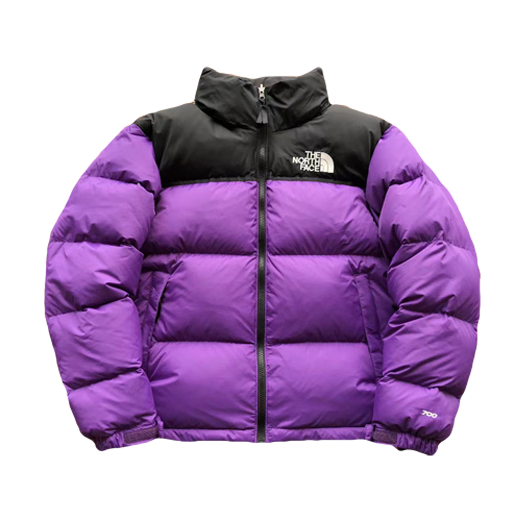 Purple 1996 Retro Nuptse Jacket - PLG